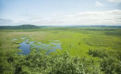 釧路湿原