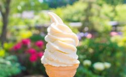 7月3日 – 今日は何の日？