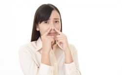8月7日 – 今日は何の日？