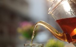 11月1日 – 今日は何の日？