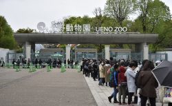 3月20日 – 今日は何の日？