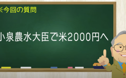 小泉農水大臣で米2000円へ