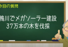 鴨川でメガソーラー建設
