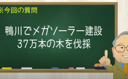 鴨川でメガソーラー建設