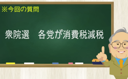 衆院選 各党が消費税減税