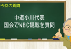 中道小川代表 国会でWBC観戦を質問