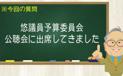 悠議員予算委員会 公聴会に出席してきました