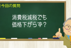 消費税減税でも価格下がらず?